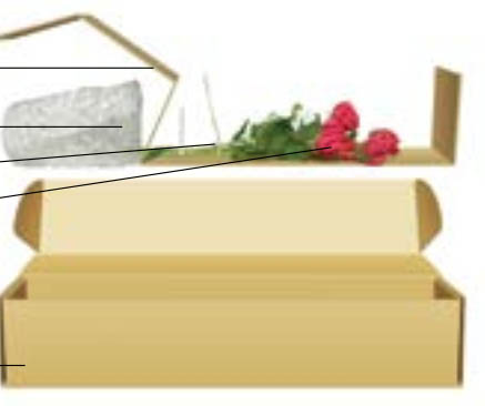Hướng dẫn đóng gói hoa và cây xanh