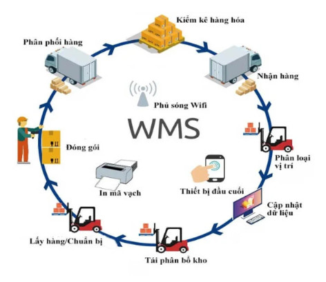 Hệ thống quản lý kho hàng WMS là gì?